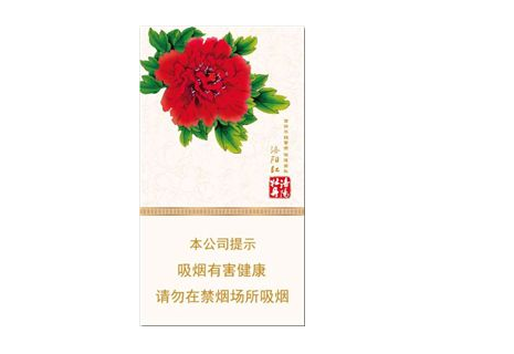 5到10元小熊猫香烟批发