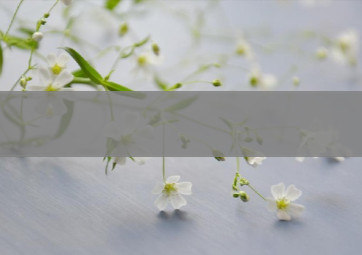 广德室外烟花